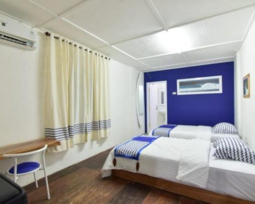 WhatsApp Image 2025-03-10 at 16.13.16